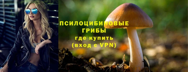 шишки Михайловск