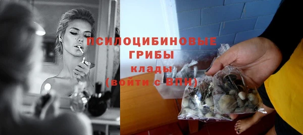 ПСИЛОЦИБИНОВЫЕ ГРИБЫ Беломорск