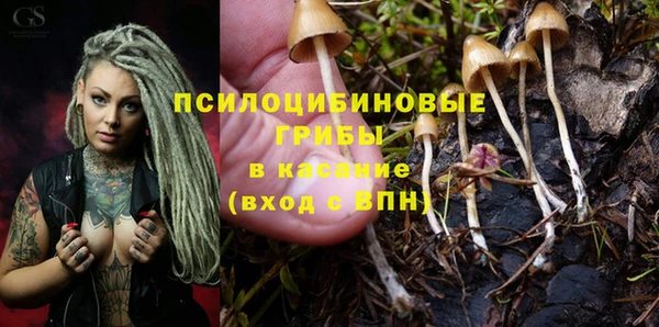 ПСИЛОЦИБИНОВЫЕ ГРИБЫ Беломорск