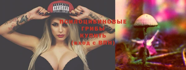ПСИЛОЦИБИНОВЫЕ ГРИБЫ Беломорск