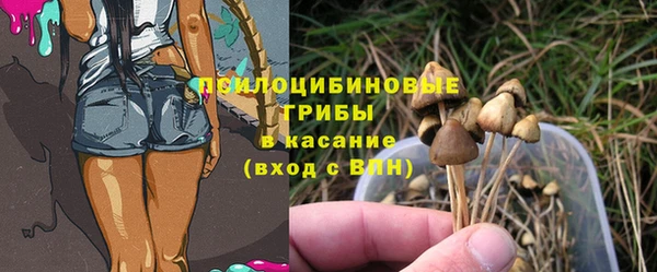 ПСИЛОЦИБИНОВЫЕ ГРИБЫ Беломорск