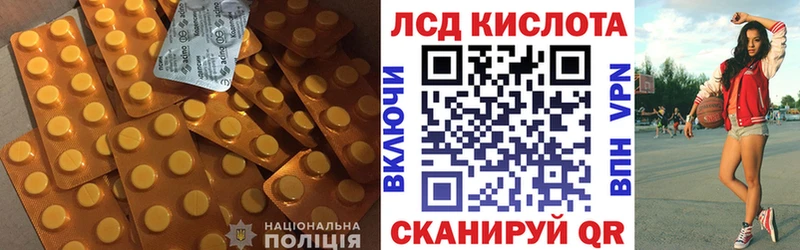 Лсд 25 экстази кислота  закладка  Городовиковск 