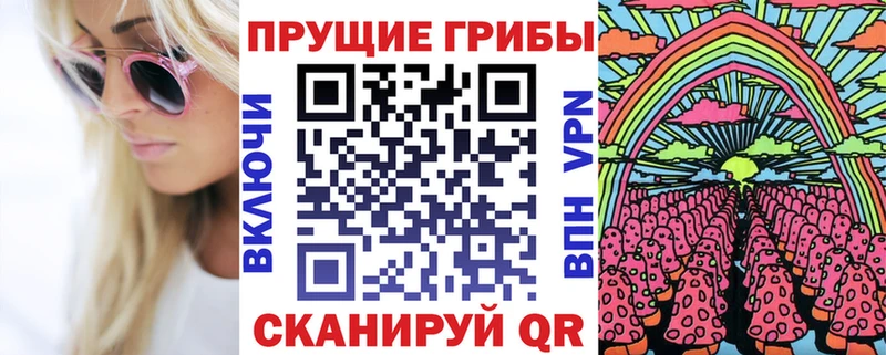 Псилоцибиновые грибы MAGIC MUSHROOMS  ссылка на мегу онион  Городовиковск 